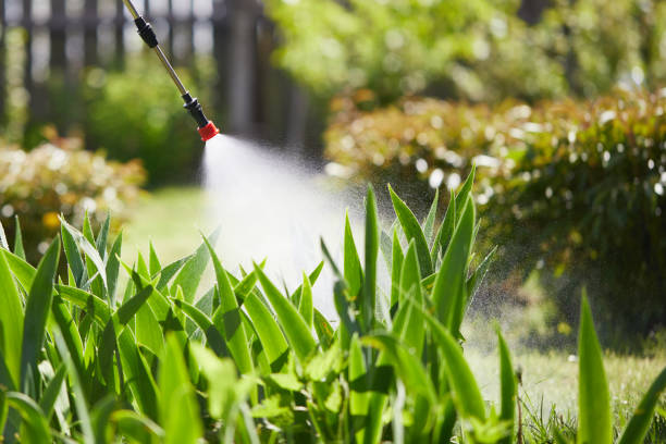 Void Injection for Cockroach Colonies in Country Club