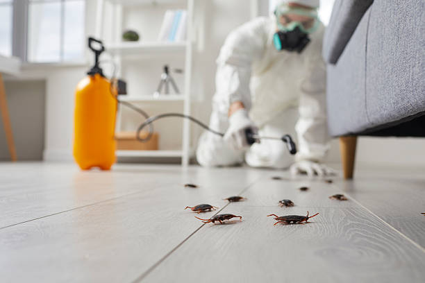 Commercial Kitchen Cockroach Control in Country Club