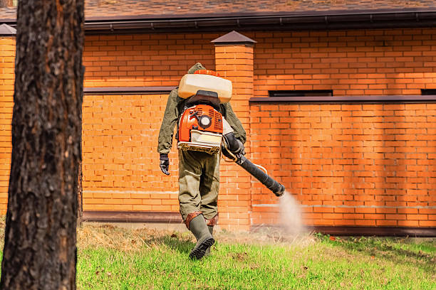Cockroach Follow-Up and Monitoring in Country Club